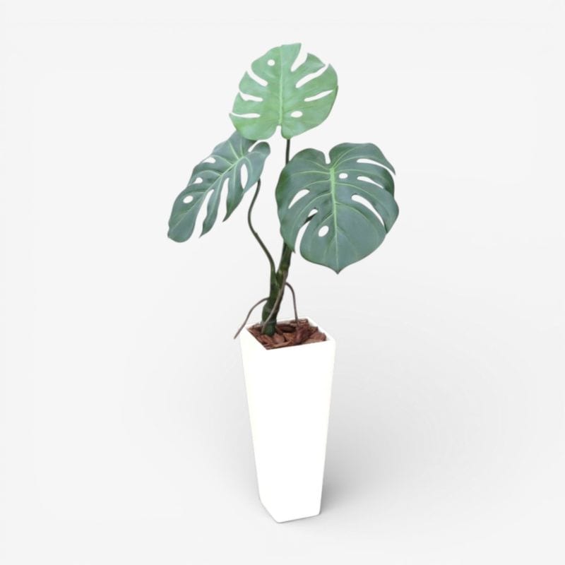 【中古】植栽 フェイクグリーン ホワイト モンステラ インテリア 玄関  YH20643