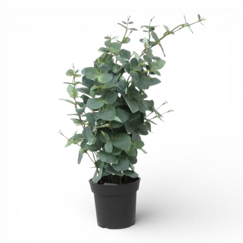 【中古】 イケア フェイクグリーン FEJKA フェイカ  ブラック 植栽 北欧 インテリア 玄関 観葉植物  YH20464