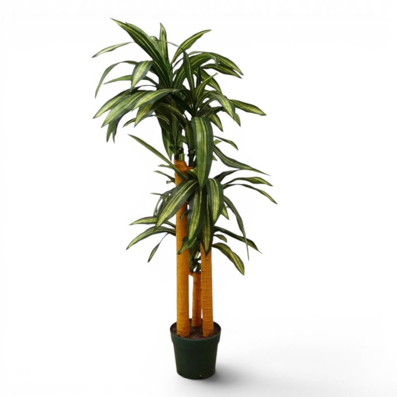 【中古】 フェイクグリーン 幸福の木 高さ1450mm 光触媒 鉢植え 人工観葉植物 中古オフィス家具 KK15996