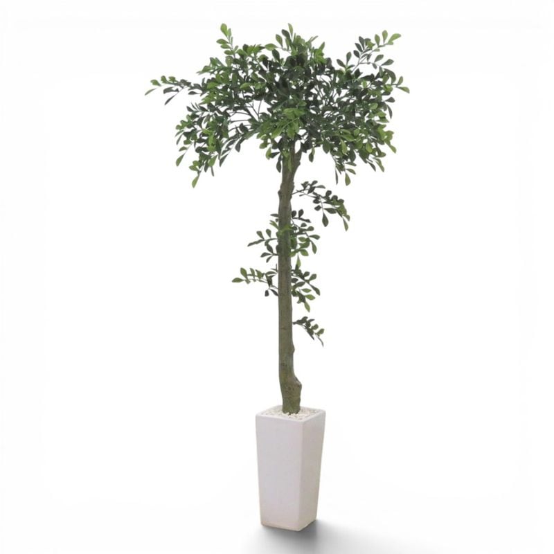 【中古】 トネリコ フェイクグリーン 高さ1460ｍｍ 人工観葉植物 鉢植え 陶器製 ホワイト インテリア雑貨 中古オフィス家具 KK21154