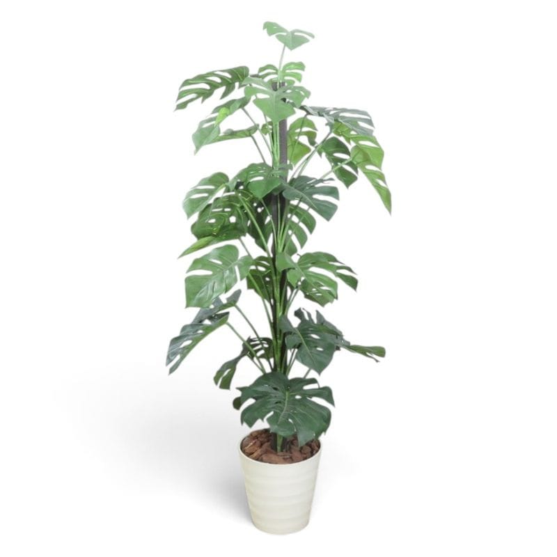 【中古】V-CAT フェイクグリーン 光の楽園 光触媒 植栽 ホワイト 人工観葉植物 中古オフィス家具 YH22527