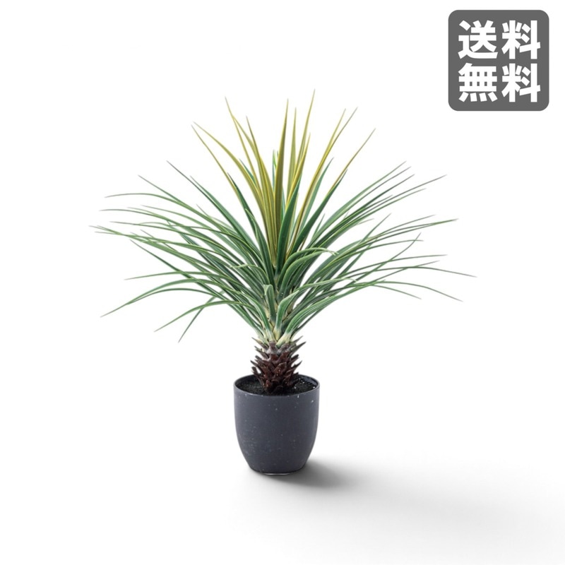 【新品】フェイクグリーン ミニパイナップル グリーン ポリ塩化ビニル 61cm幅 人工観葉植物 室内 おしゃれ　BR002-002815　｜オフィス家具のビックリユース