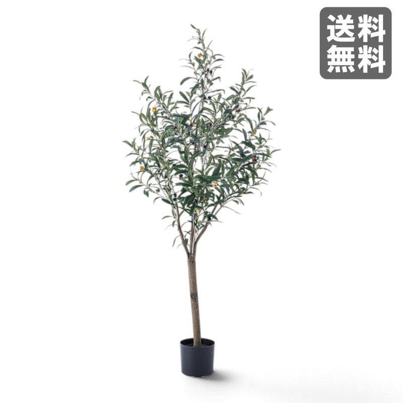 人工観葉植物オリーブ フェイクグリーン グリーンオリーブ 光触媒 人工