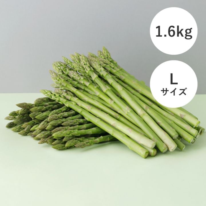 ハウスグリーンアスパラ 1.6kg L（数量限定） 商品画像1