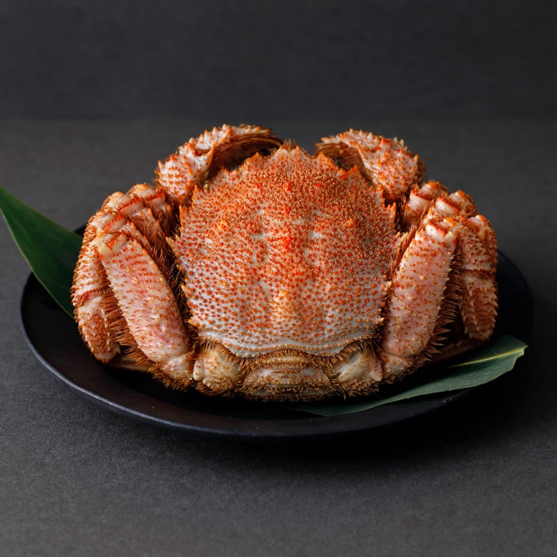 【美瑛選果のお中元】枝幸の特選毛がに1杯 商品画像1