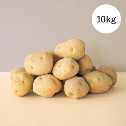 きたかむい[Lサイズ] 10kg 商品画像