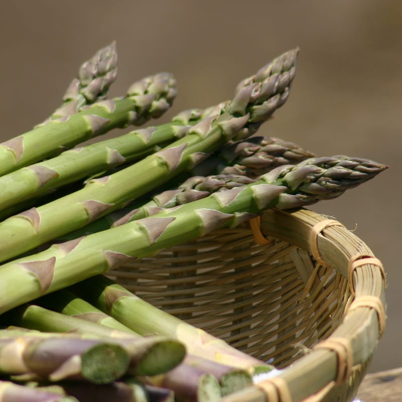 露地グリーンアスパラ M・L混サイズ 1kg【2025年販売終了】 商品画像2