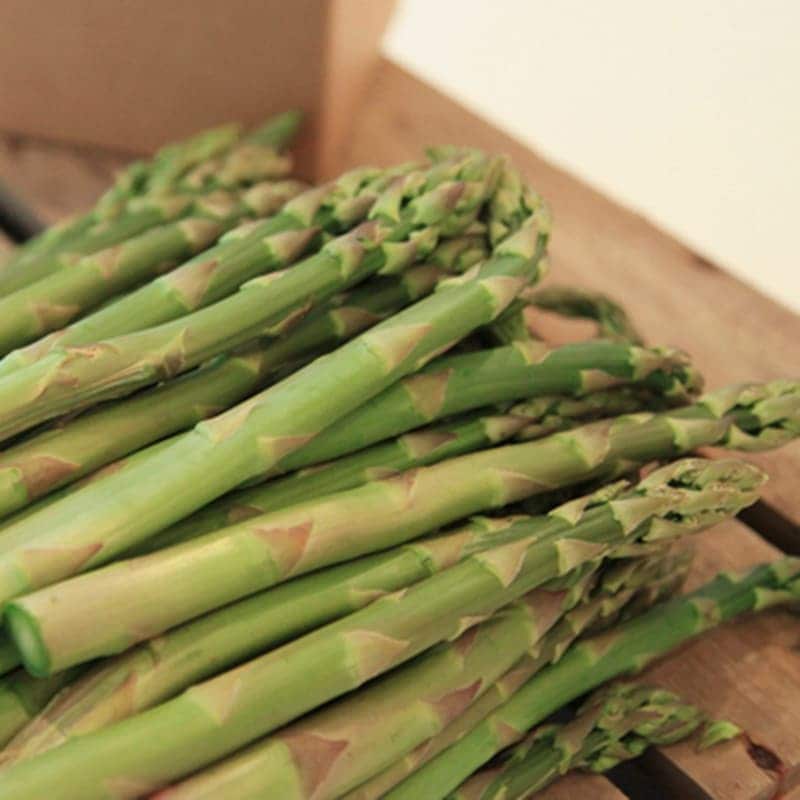 グリーン&ホワイトアスパラセット(L500g/混300g)【2025年販売終了