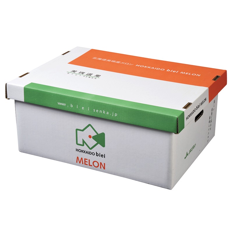 ご自宅用メロン4～6玉/箱(約8kg)【2025年販売終了】 商品画像5
