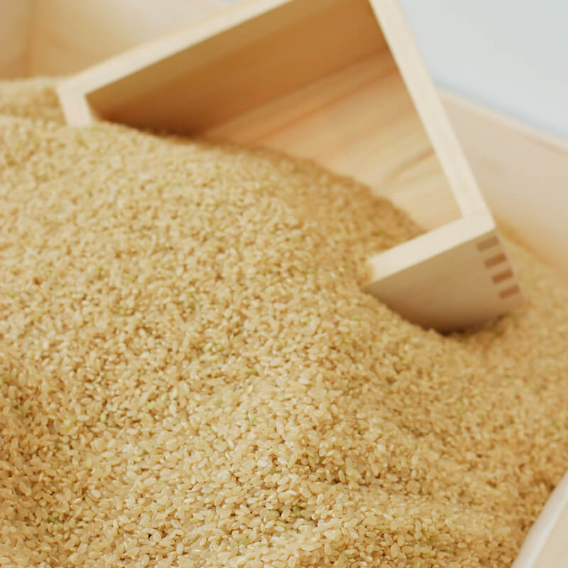 玄米あさひ娘ななつぼし 2kg 商品画像2