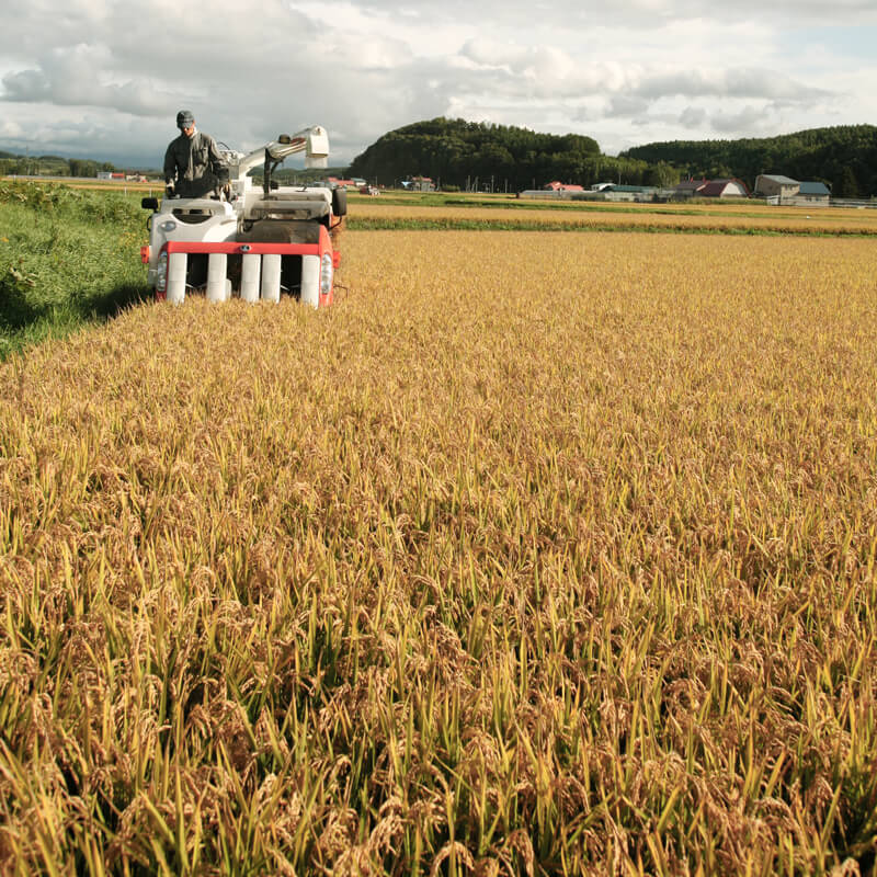 玄米あさひ娘ななつぼし 2kg 商品画像3