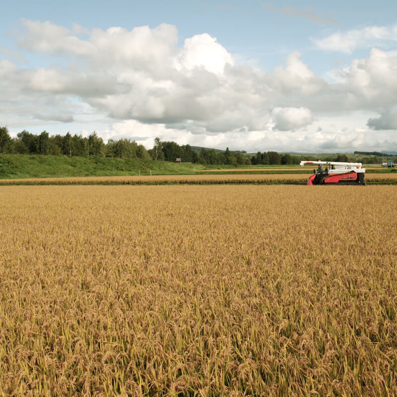あさひ娘ななつぼし 2kg 商品画像2