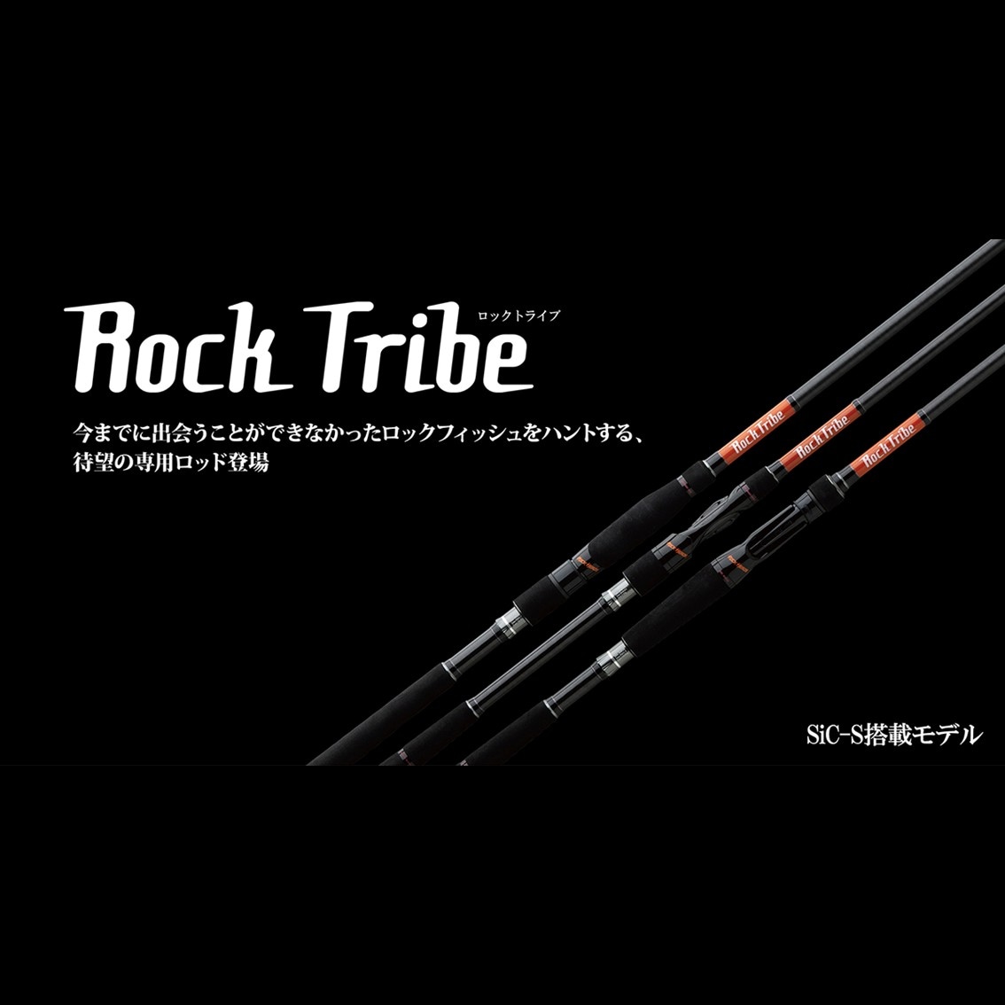 ロックトライブ