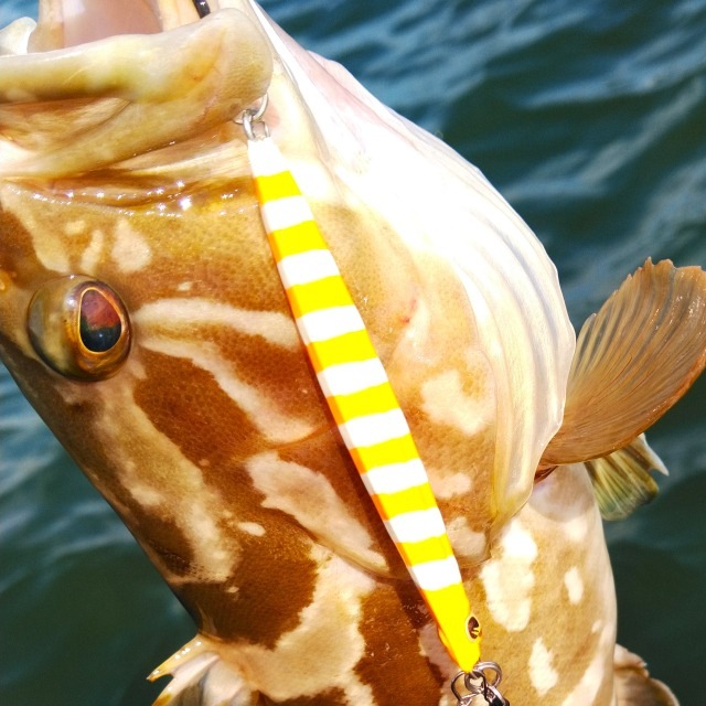 Bifarr　メタルエフェクトステイフォール40g　