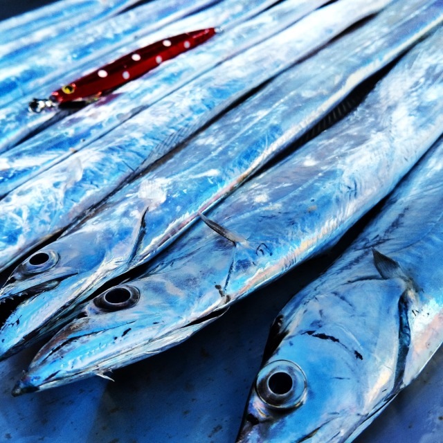 Bifarr　メタルエフェクトステイフォール40g　