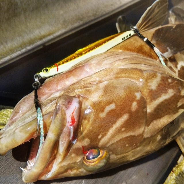 Bifarr　メタルエフェクトステイフォール40g　