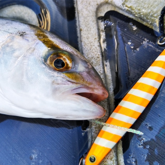 Bifarr　メタルエフェクトステイフォール40g　