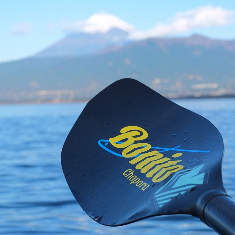 チャポラ　ベント　215～225