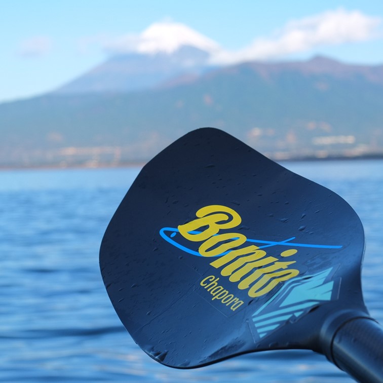 チャポラ　ストレート　215～225