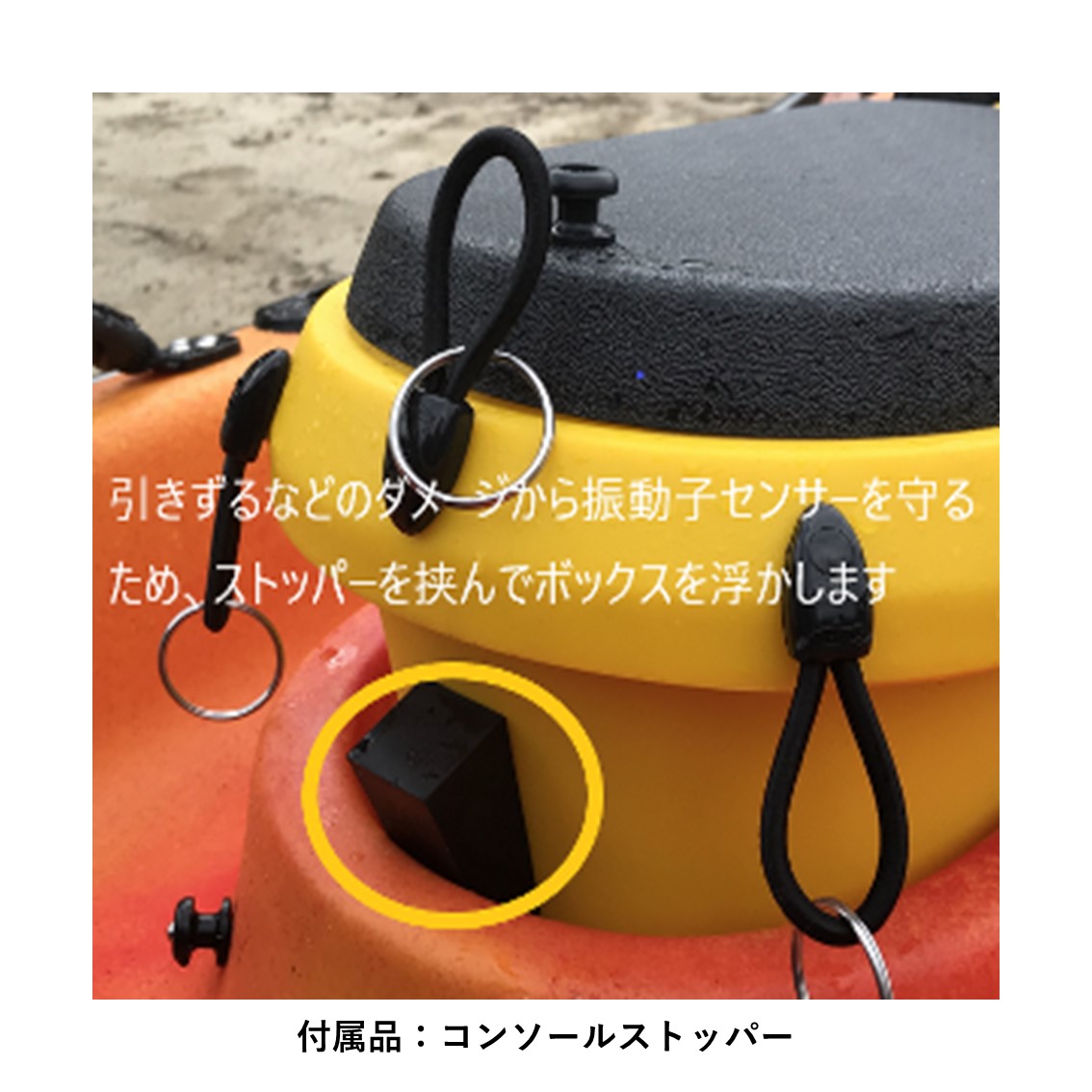 【新型】忍Pro －SHINOBI Pro－【配送】