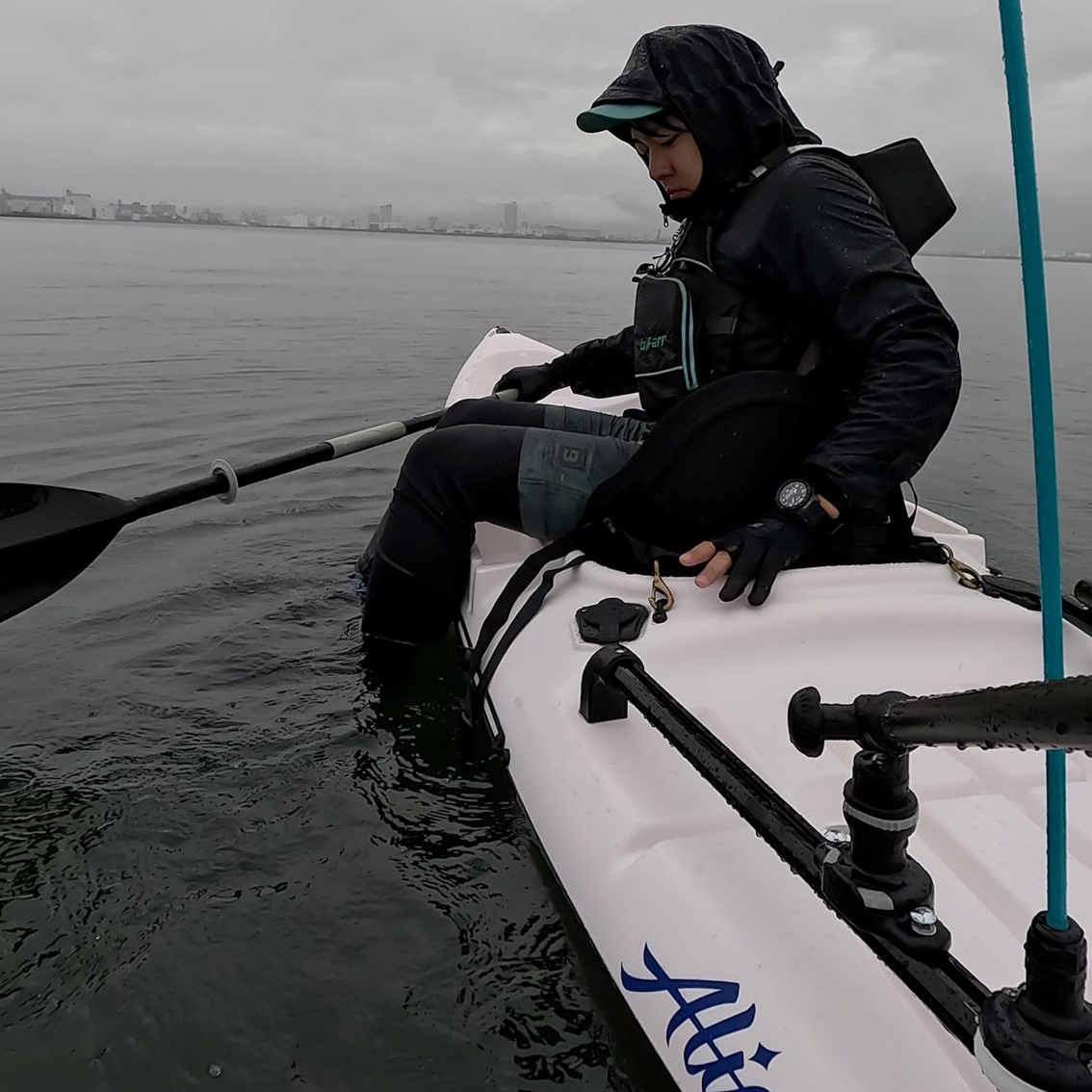 アリオス/Alioth　カスタムカラー