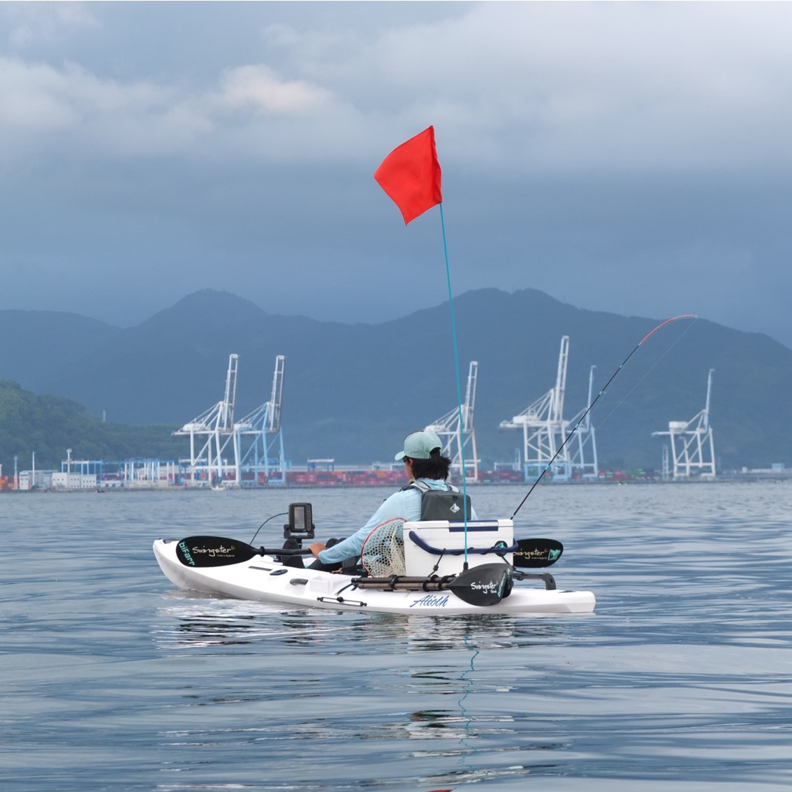 アリオス/Alioth　カスタムカラー