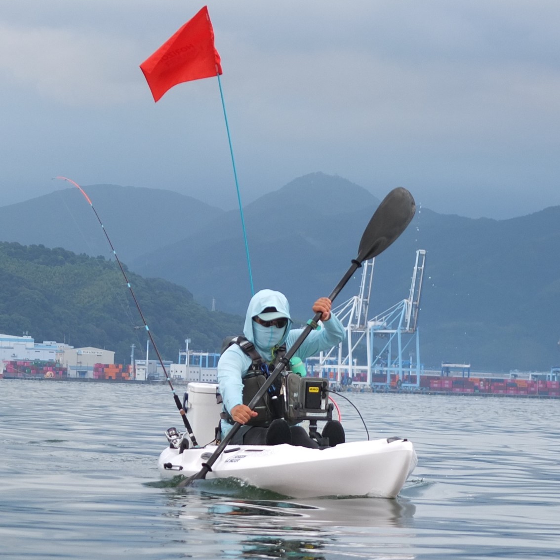 アリオス/Alioth　カスタムカラー