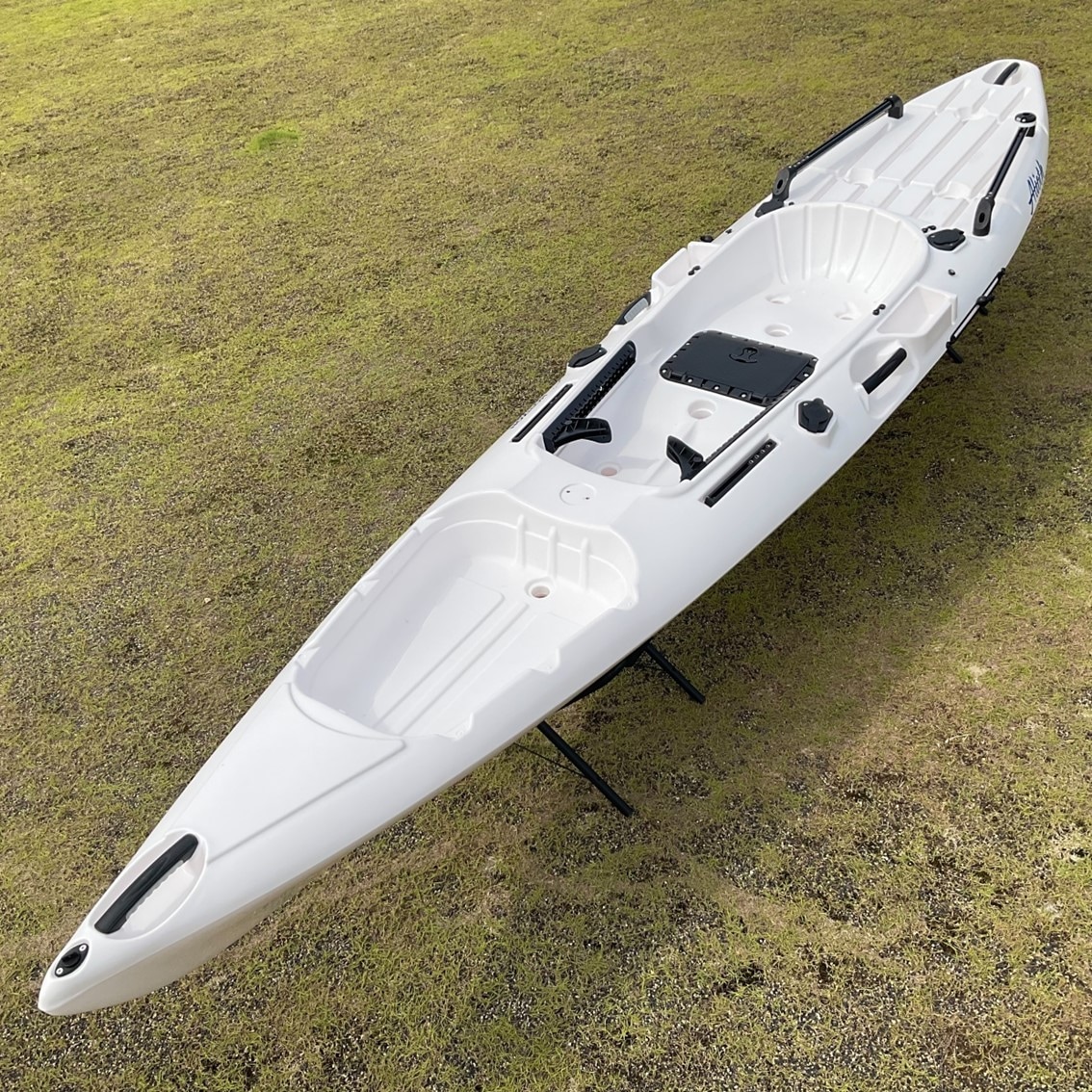 アリオス/Alioth　カスタムカラー