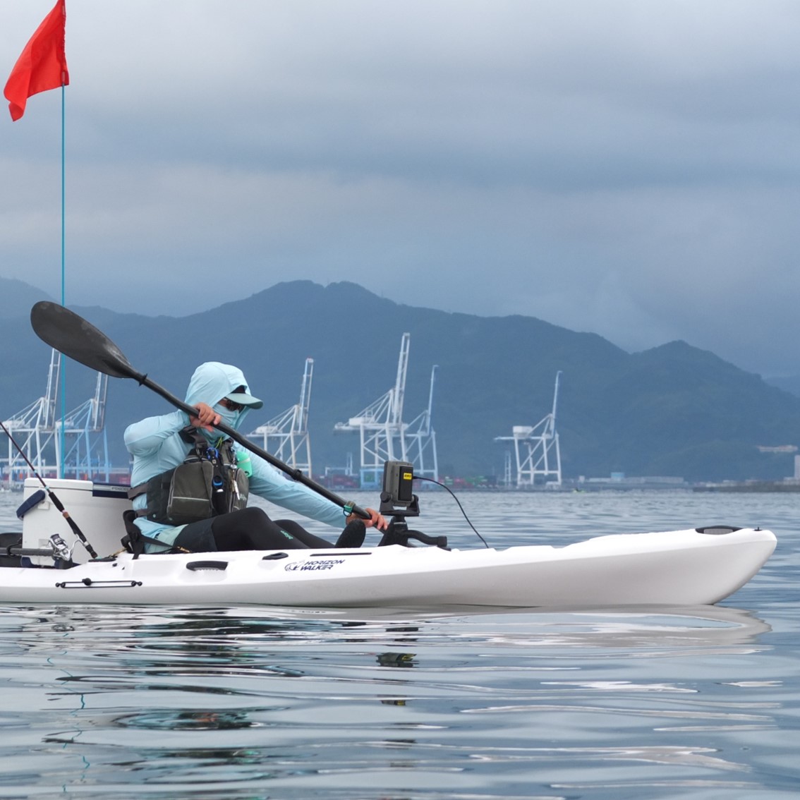 アリオス/Alioth　カスタムカラー