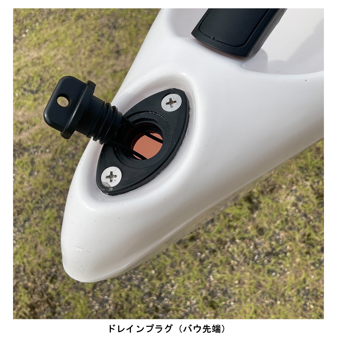 アリオス/Alioth　カスタムカラー