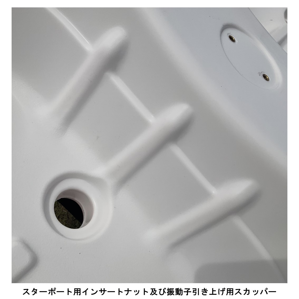 アリオス/Alioth　カスタムカラー