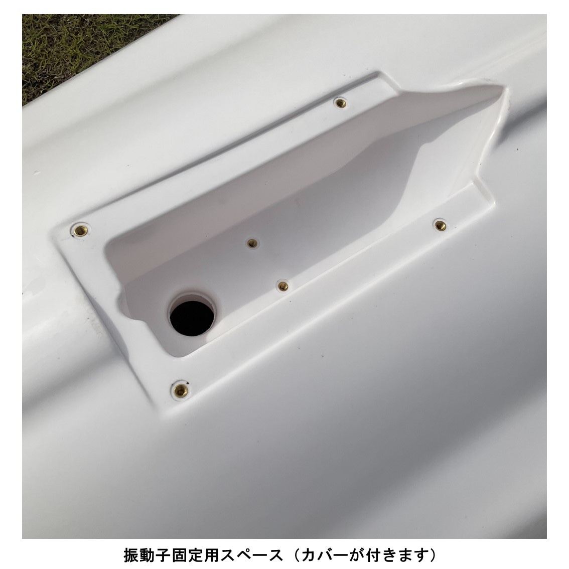 アリオス/Alioth　カスタムカラー