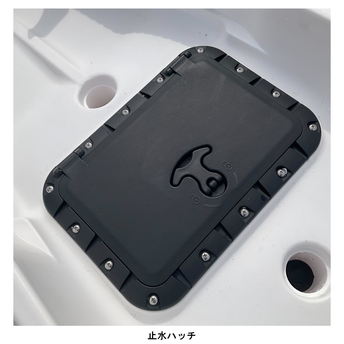 アリオス/Alioth　カスタムカラー