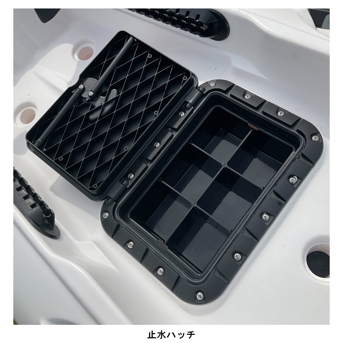 アリオス/Alioth　カスタムカラー