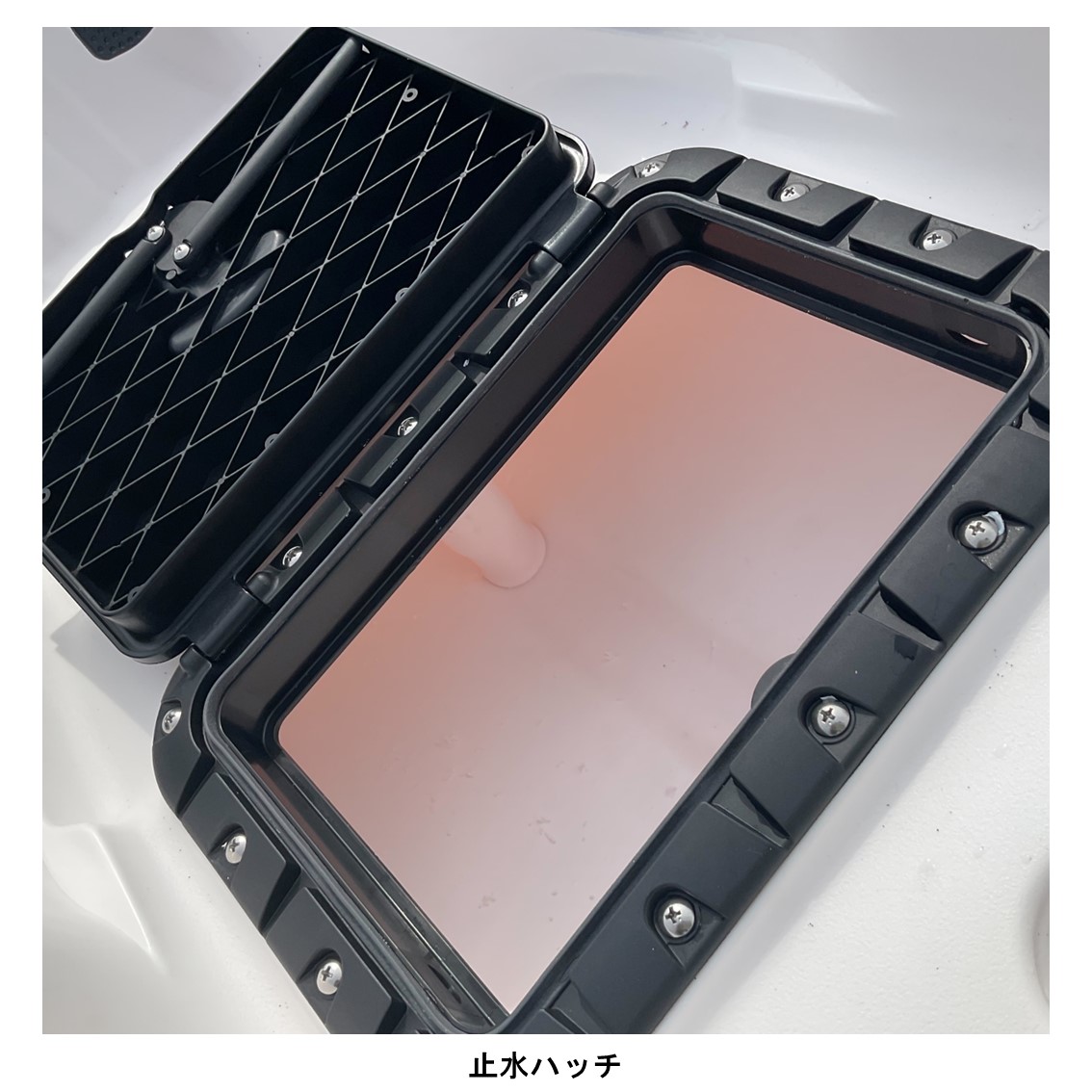 アリオス/Alioth　カスタムカラー