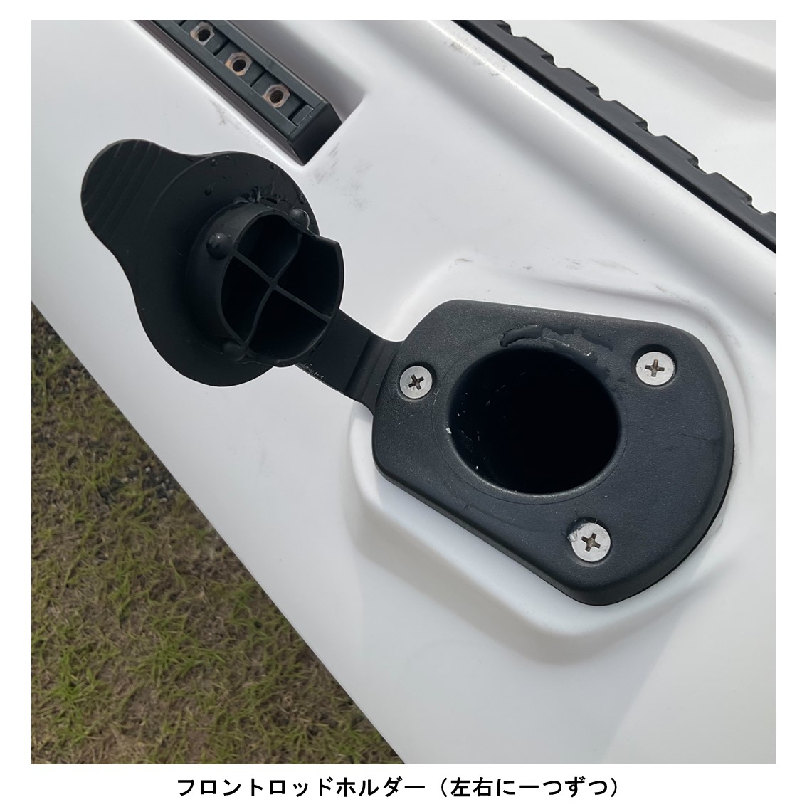 アリオス/Alioth　カスタムカラー