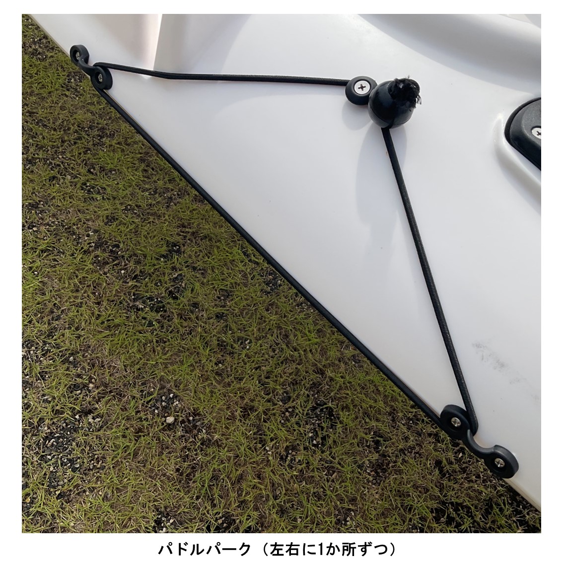 アリオス/Alioth　カスタムカラー