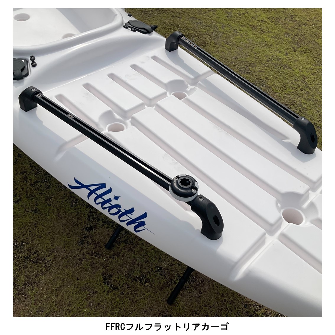 アリオス/Alioth　カスタムカラー