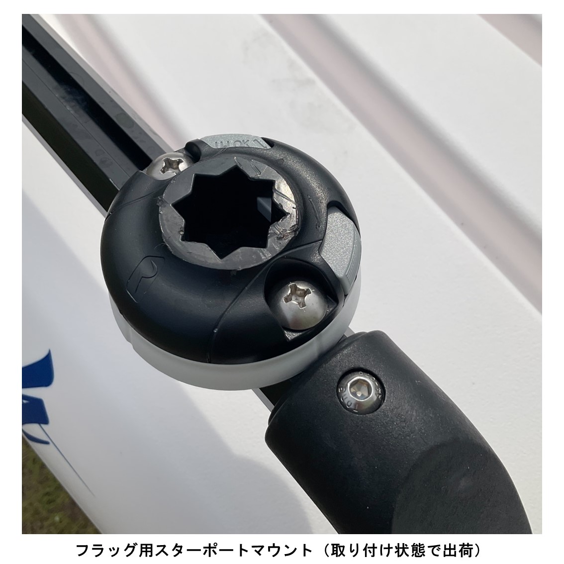 アリオス/Alioth　カスタムカラー