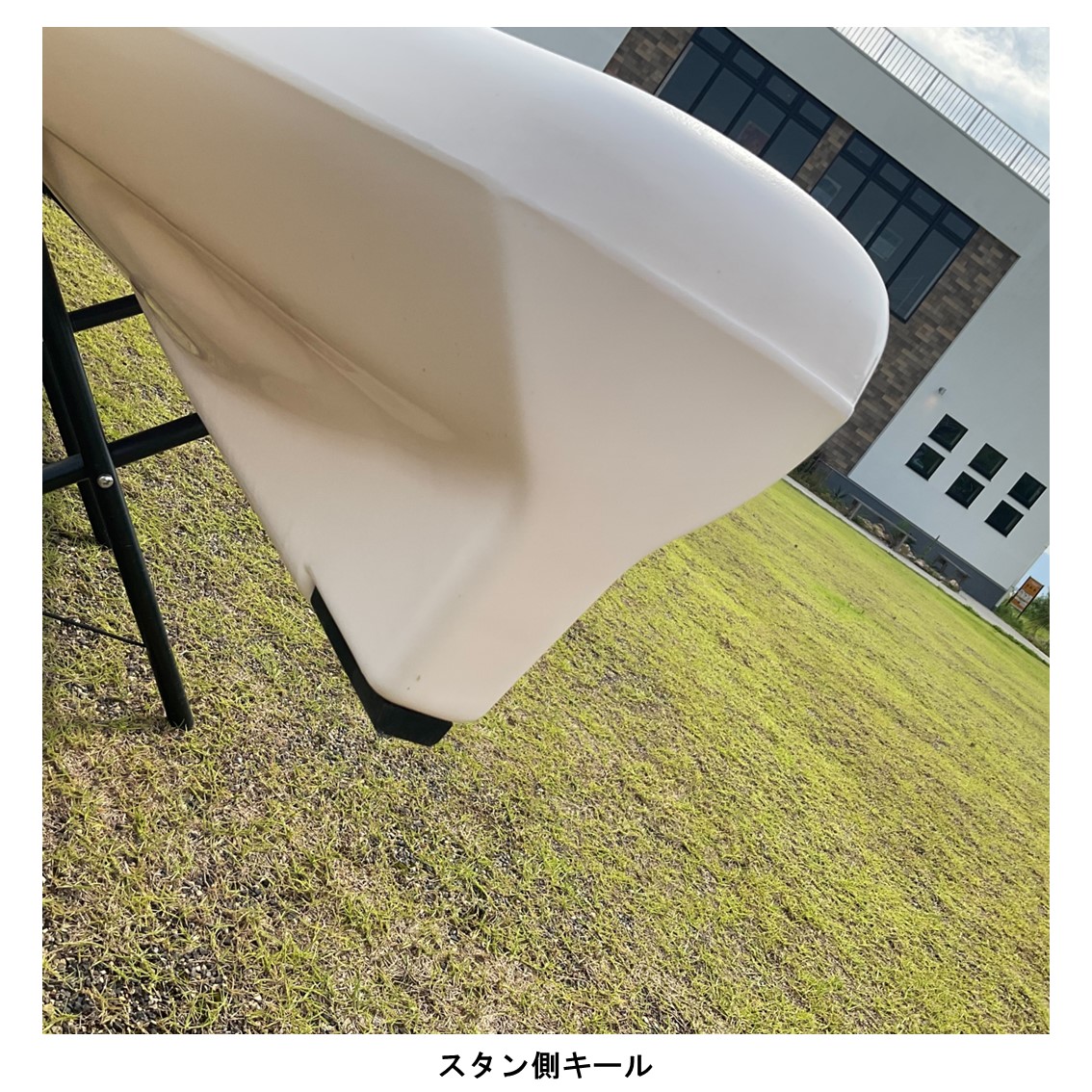 アリオス/Alioth　カスタムカラー