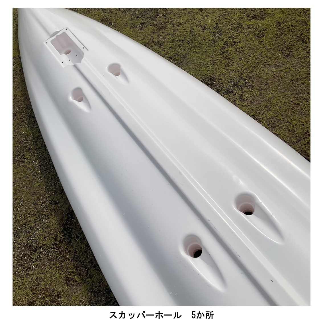 アリオス/Alioth　カスタムカラー