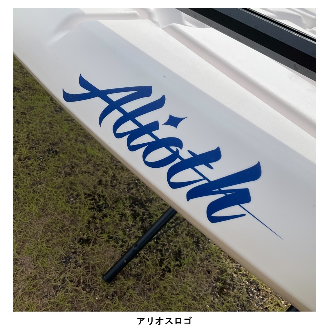 アリオス/Alioth　カスタムカラー