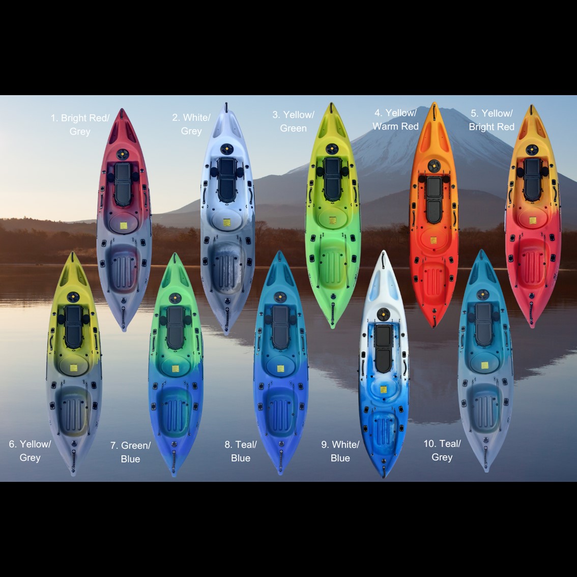 忍Pro －SHINOBI Pro－（スタンダード）