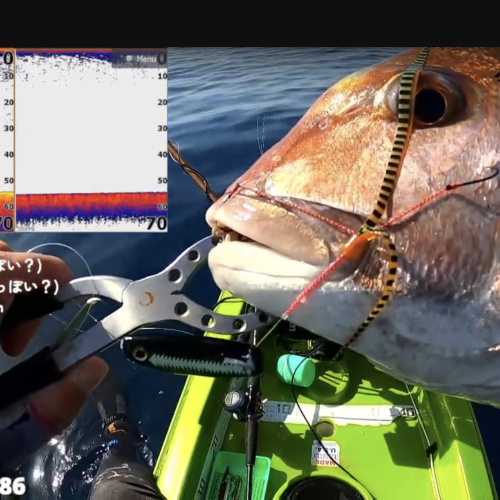 bifarr Maccheroniマッケローニ ご当地カラー「松原サンライズ」