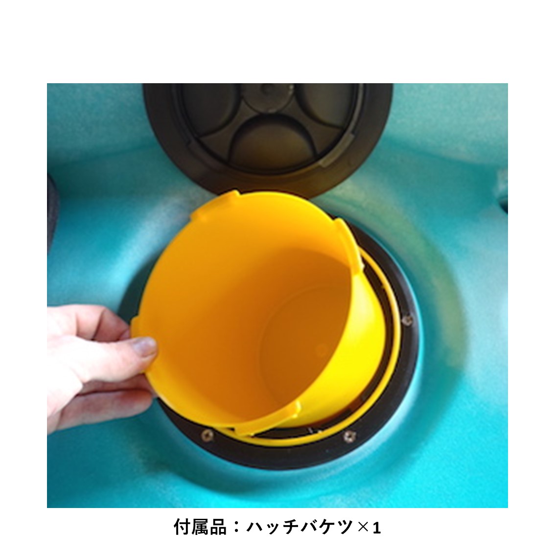 プロフィッシュ45 （カスタム・ミックス）