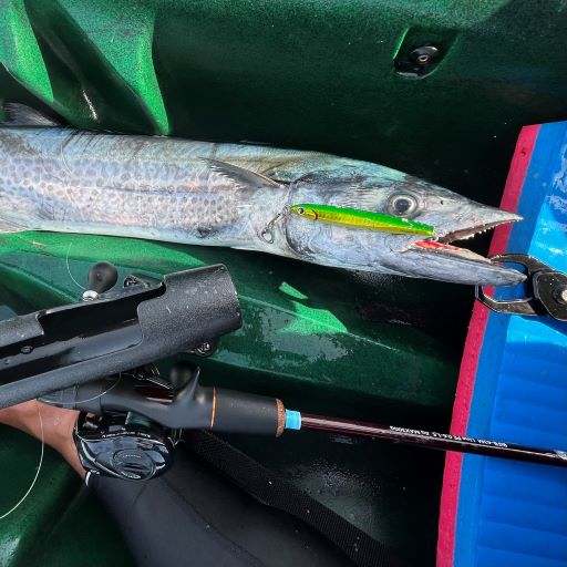 Bifarr 　BIFB-63M　Distortion　ディストーション