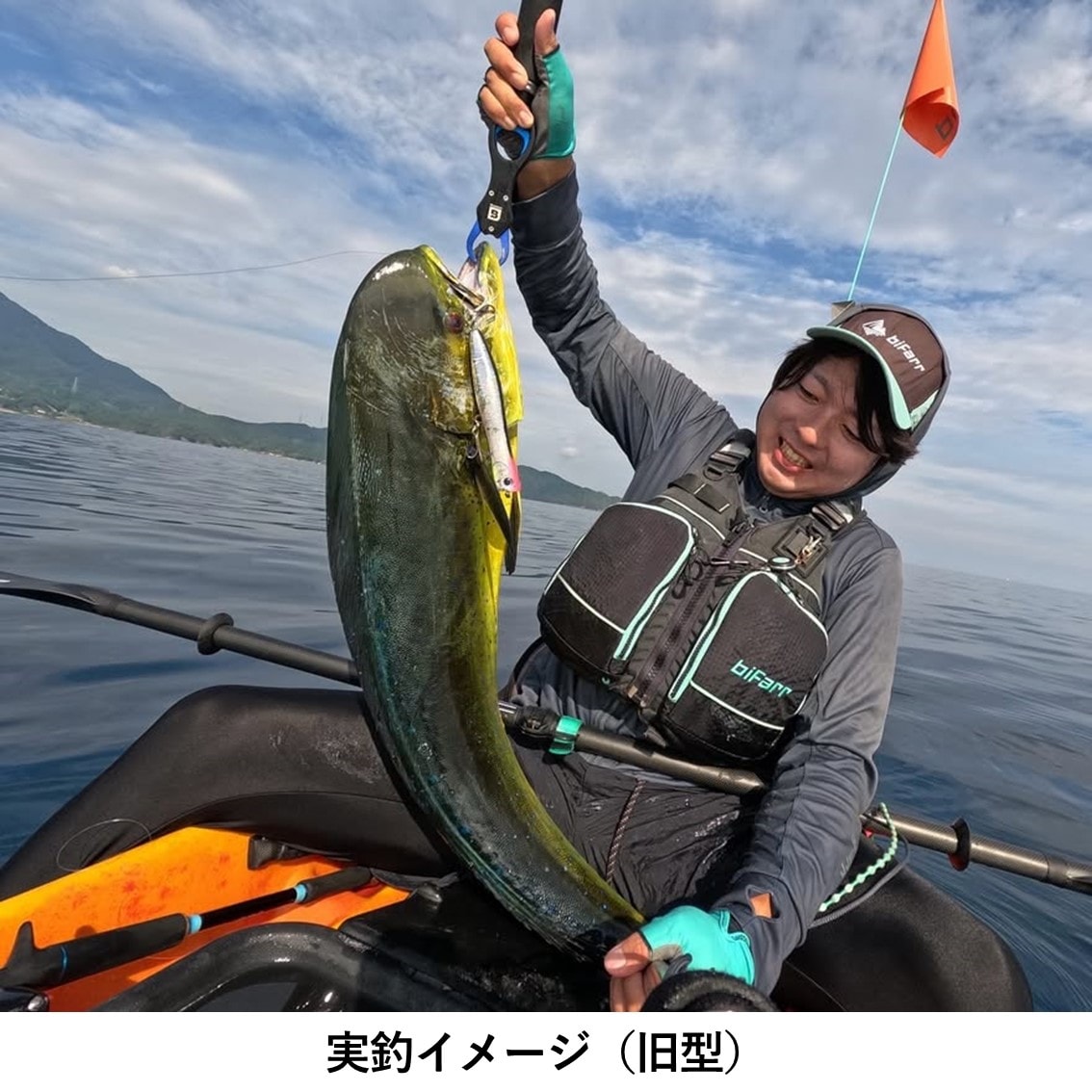 【新型】プロフィッシュ45 【数量限定キャンペーン価格】