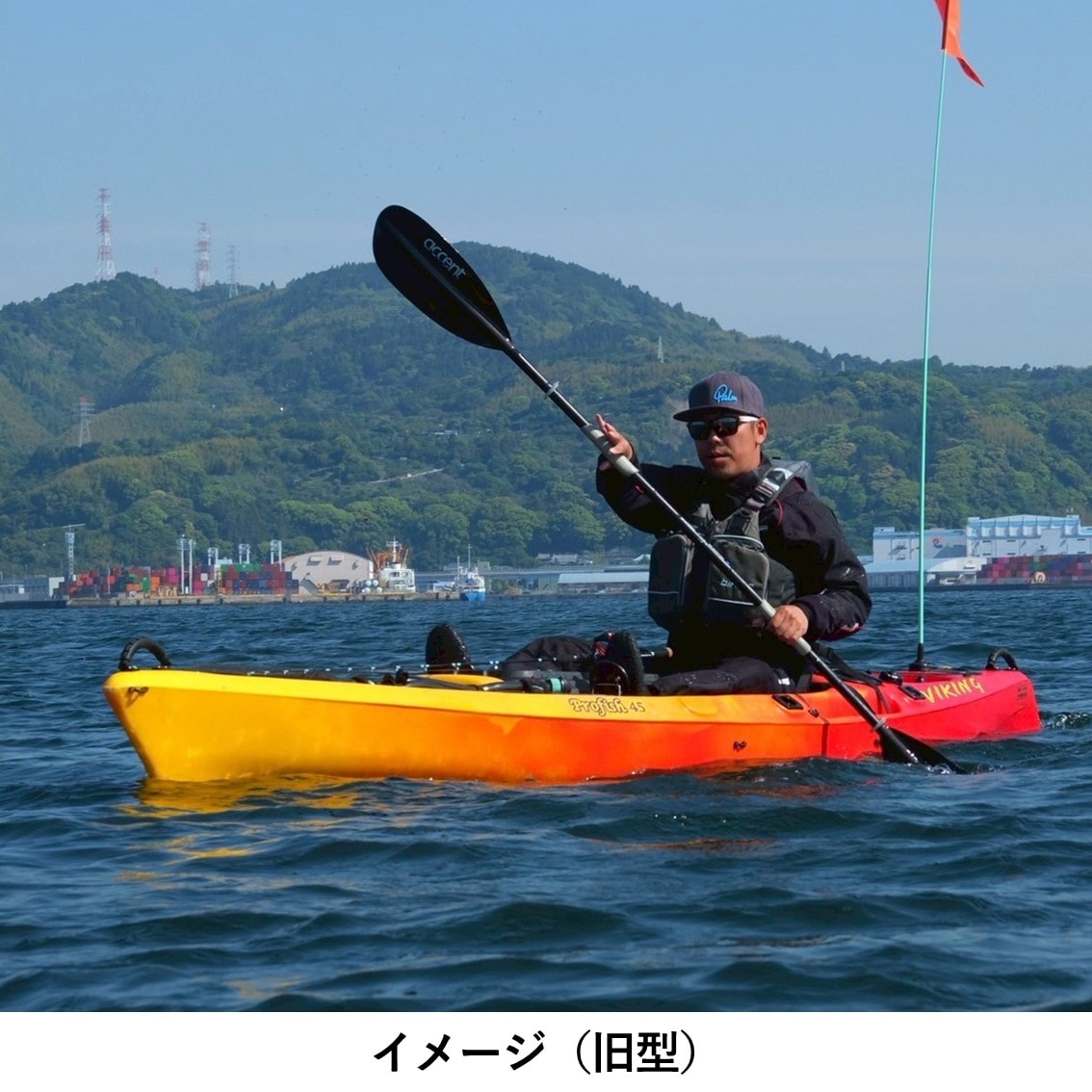 【新型】プロフィッシュ45 【数量限定キャンペーン価格】