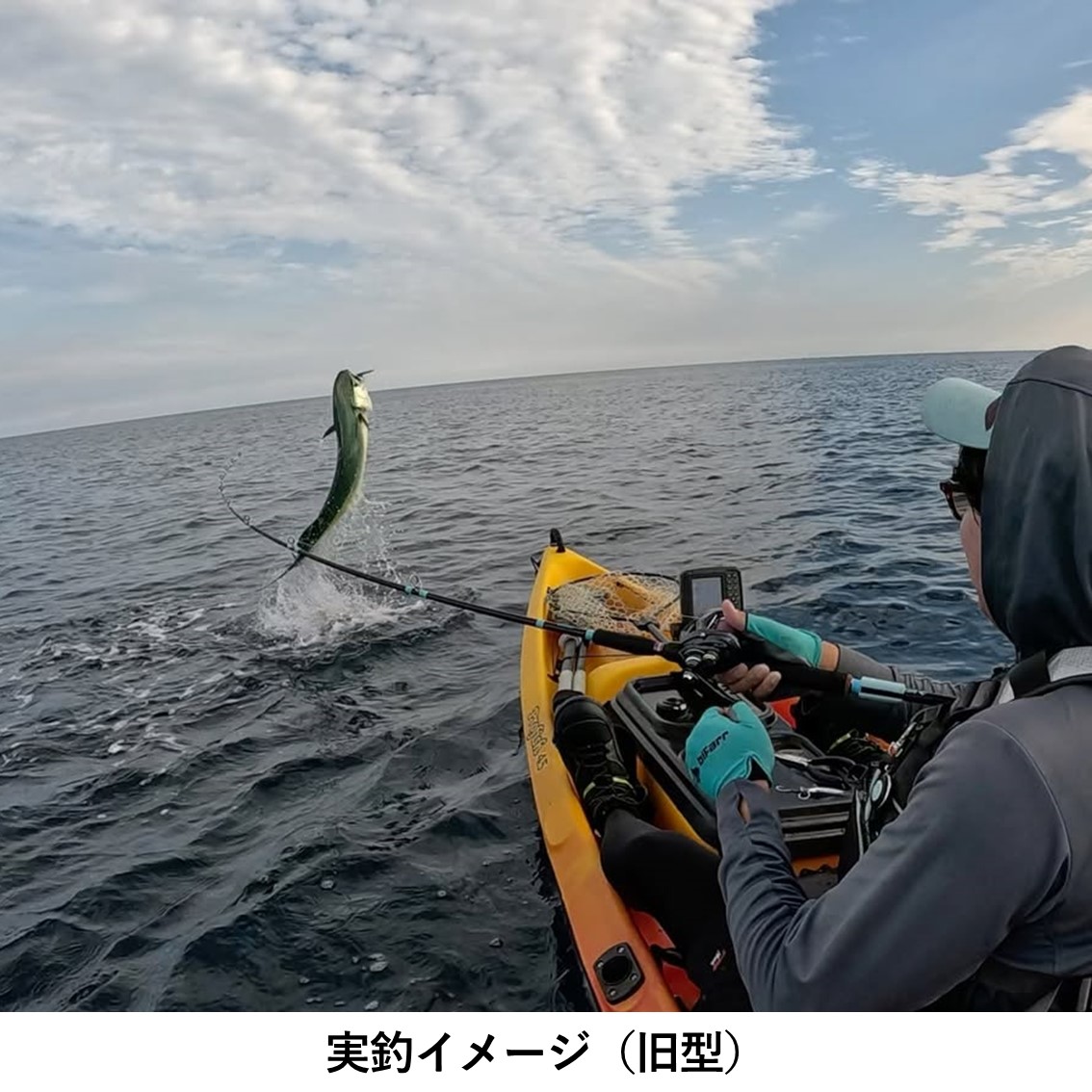 【店頭受け取り】新型プロフィッシュ45 【数量限定キャンペーン価格】