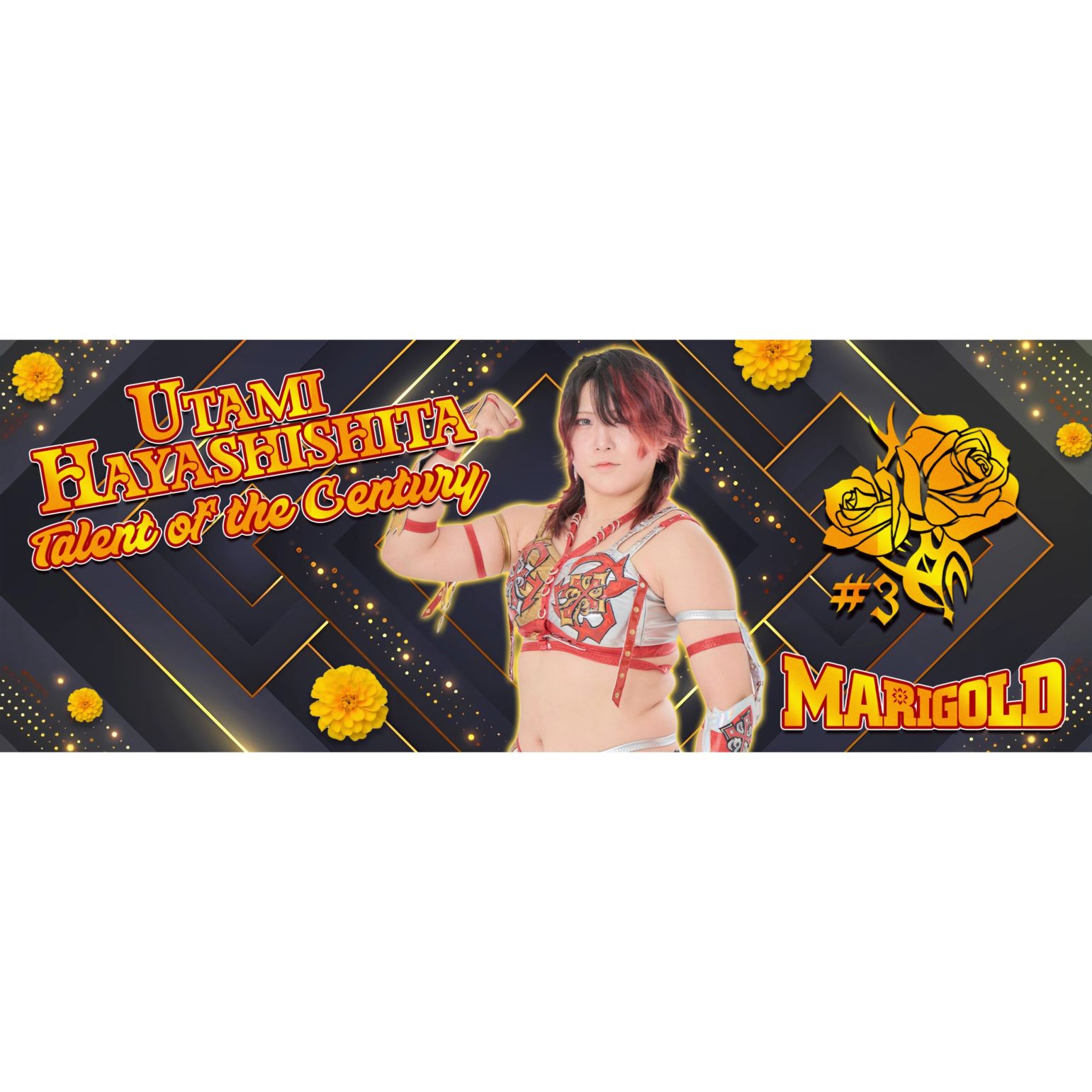 再入荷】林下詩美 & 青野未来 マリーゴールド アクリルパネル s2 A4